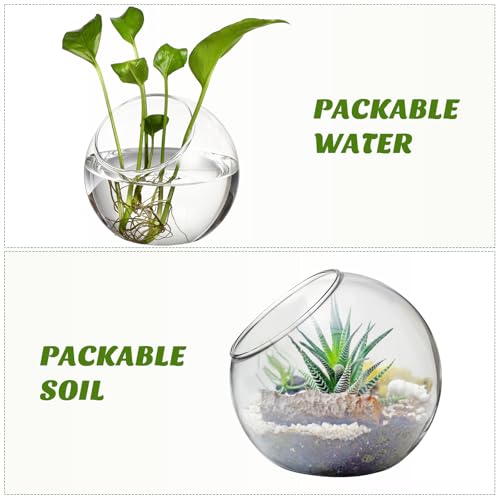 Image of balacoo 3 Pcs Glass Terrariums Bowl for Plants, Terrarium Jar for Air Plant Clear Globe Vase Glass Bowl for Home Desktop Decor | Modern slant-cut design adds elegance to home or office. Transparent glass displays succulents and moss for a stunning view.