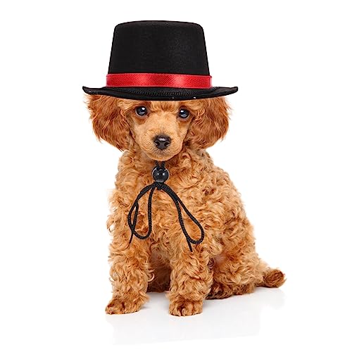 Sombreros para perros y gatos Kisangel 2 piezas miniatura 2