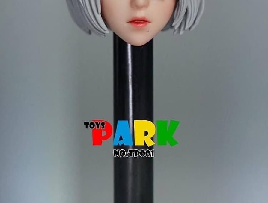 1/6フィギュア用ヘッド Amazon | 1/6 ヘッド スカルプト 未塗装男の子ヘッドカービング