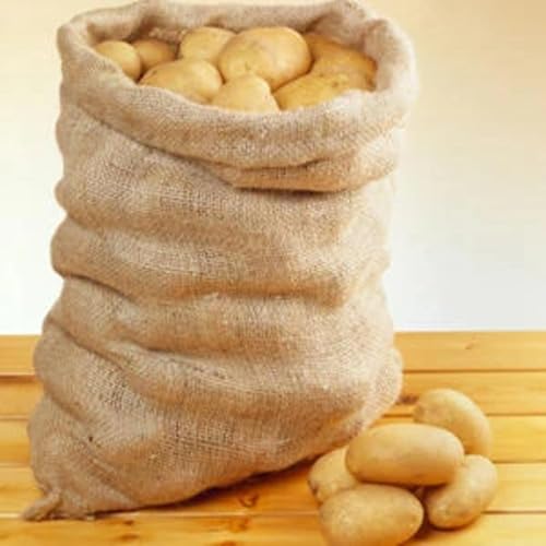 SCP 1689 - Bag of Holding Potatoes