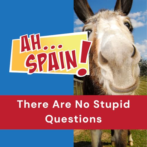 There Are No Stupid Questions Podcast By  cover art