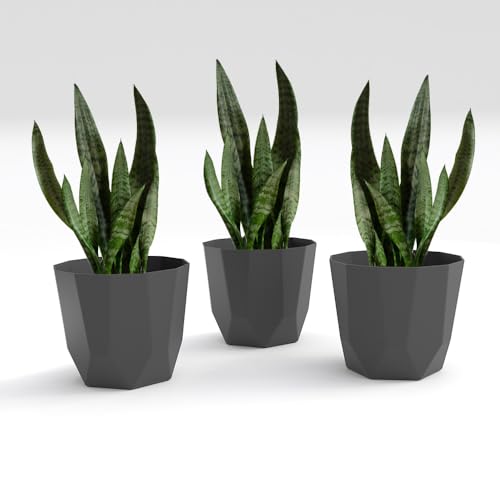 Image of YUCCABE ITALIA SHERA Hexa Plastic Planter Pot for Plants | Decorative Flower Pot | UV Protected Lightweight Indoor Outdoor Gamla for Home Decor, Balcony, Garden & Living Room