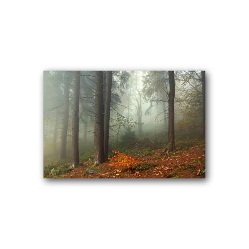 Tableau sur toile forêt brumeuse d'automne | Décoration murale salon