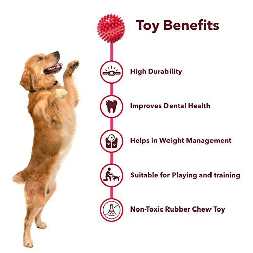 Image of Meat Up 100% Veg Adult Dry Dog Food, 3kg (Buy 1 Get 1 Free)&Meat Up Non-Toxic Rubber Stud Spike Hard Ball Chew Toy, Puppy /Dog Teething Toy - 3 inches