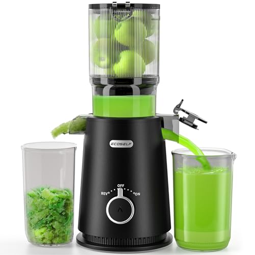 ECOSELF Large Feed Chute for Family Needs, Professional Cold Press