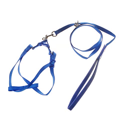 Fewxdsad Parrot Harness Leash, Adjustable Anti-Bite Outdoor Training Rope,Cockatoo Macaw Parakeet Bnad