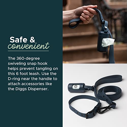 Diggs Dog Leash - 6Ft - Waterproof, Soft Coated, Nylon, Durable, Metal Hardware, Odor Resistant, Easy To Clean, Dog Leash For Large Dogs, Dog Leash For Small Dogs, Dog Leash For Medium Dogs (Charcoal) #TOP3