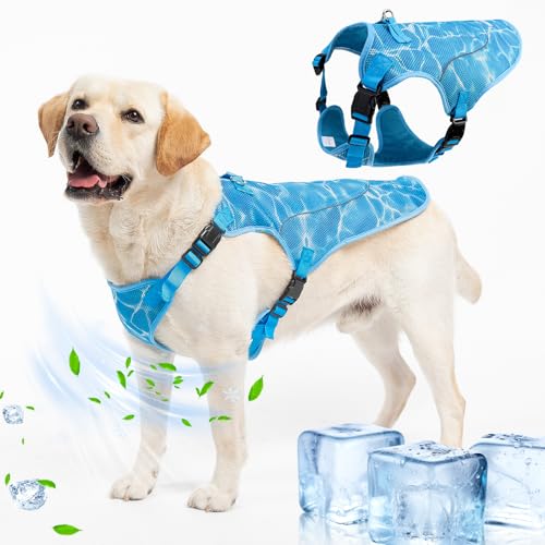 EXPAWLORER Dog Cooling Vest Harness for Summer, Breathable Mesh Reflective Cooler Harness for Hot Weather Outdoor Hiking Beach, Adjustable Lightweight Pet Jacket with D-Ring for Medium Large Dogs Blue