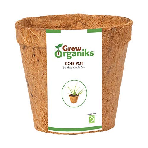 Grow OrganiksCoir Biodegradable Planting Pots - 4 inch - Pack of 12