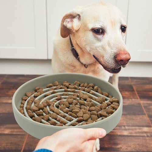 Hwtcjx Anti Schling Napf für Hunde und Katzen, Slow Feeder, Leckmatte Hund mit Großem Saugnapf, Schleckmatte Katze für Nassfutter und Trockenfutter, Mit Reinigungsbürste (Grün)