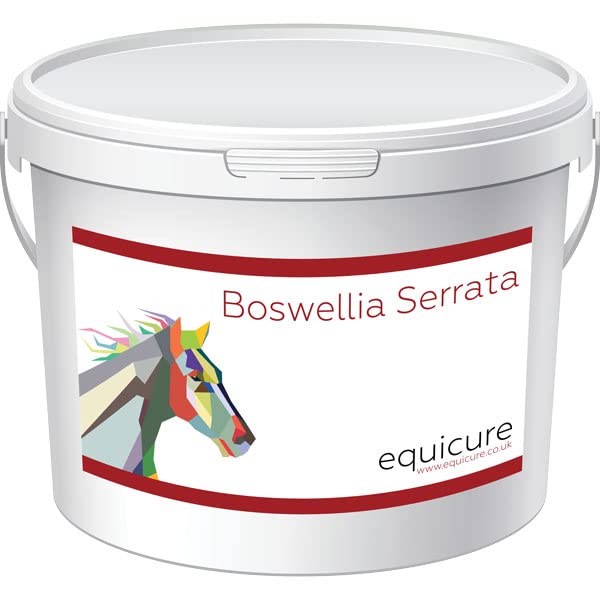 Amazon.co.uk Best Sellers The most popular items in Wormers for Horses