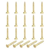 QUARKZMAN 20 pcs Viti In Ottone, M1.6 x 12mm Testa Rotonda Convessa Con Intagli A Fessura Autofilettanti Per Legno Per Falegnameria Riparazione Mobili Cornici Foto Cartongesso, Colore Oro