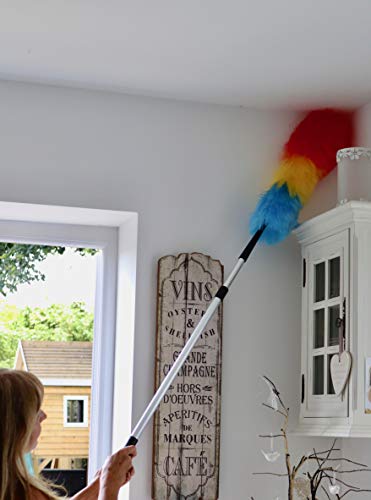 The Original Home Valet® Dust Genie® Plumeau Longue Portée à Électricité Statique pour Attirer la Poussière