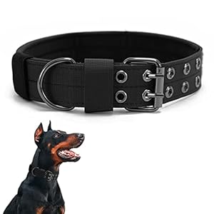 Tactical Dog Collar – Military Dog Collar Nylon Adjustable Training Dog Collar Heavy Duty Metal Buckle for Medium Large Dogs (XL, Black)