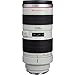 Canon EF 70-200mm f/2.8L USM Lens Bundle | Professional L-Series Telephoto Zoom with Constant f/2.8 Aperture & Fast Ring-Type USM AF | Great for Sports & Events (2569A004) + Filter Kit + More