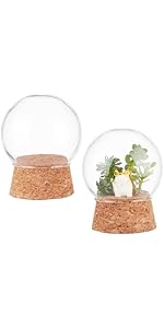 6 Mini Cupole Di Vetro Con Base In Legno - Campane Trasparenti Per Decorazioni E Centrotavola - Foto 3