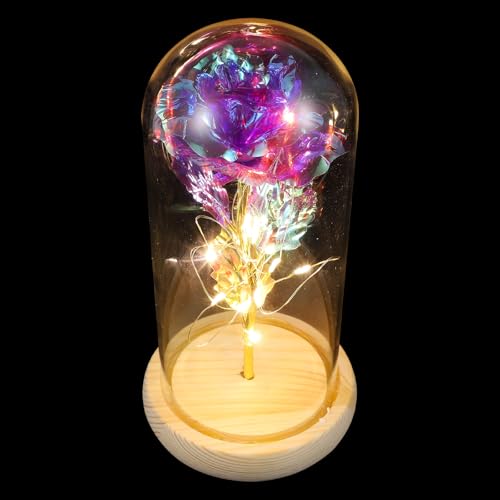 Rosa luminosa LED con cúpula de vidrio y base de madera Abaodam