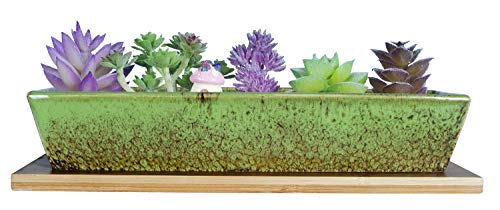 Macetas Suculentas - Macetas Suculentas Grandes Con Drenaje, Recipientes Rectangulares Largos Para Plantas De Flores Con Bandejas, Caja De Ventana De Bonsái De Cactus Poco Profunda Verde Macetas Suculentas - Macetas Suculentas Grandes Con Drenaje, Recipientes Rectangulares Largos Para Plantas De Flores Con Bandejas, Caja De Ventana De Bonsái De Cactus Poco Profunda Verde