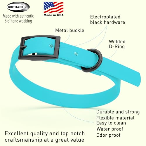 Image of Dogline Biothane Waterproof Dog Collar Strong Coated Nylon Webbing with Black Hardware Odor- Proof for Easy Care Easy to Clean High Performance Fits Small Medium or Large Dogs, Sky Blue