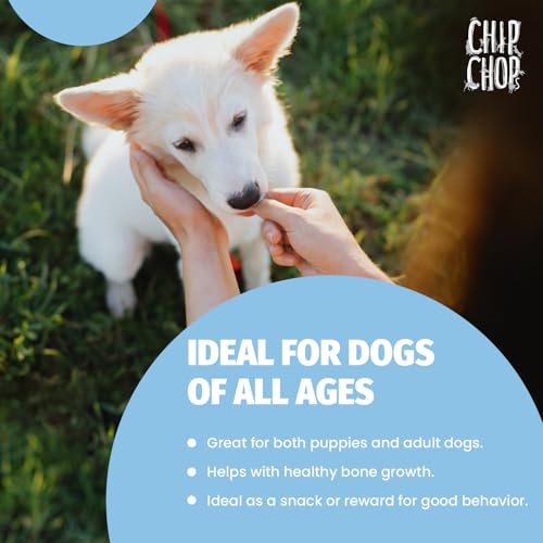 Chip Chops Diced Chicken & Chicken Chips Dog Treats – Protein-Rich, Nutritious, Easily Digestible Snacks – 2 X 70 g Treats for All Dog Breeds & Sizes