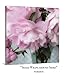 Pale Pink Peony Photography on CANVAS Dreamy Floral Print Luscious Bouquet of Peonies in Vase Black and White Square Wall Art Flower Picture Teal Ready to Hang