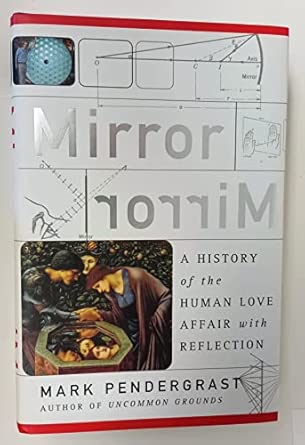 Mirror, Mirror: A History of the Human Love Affair with Reflection book cover