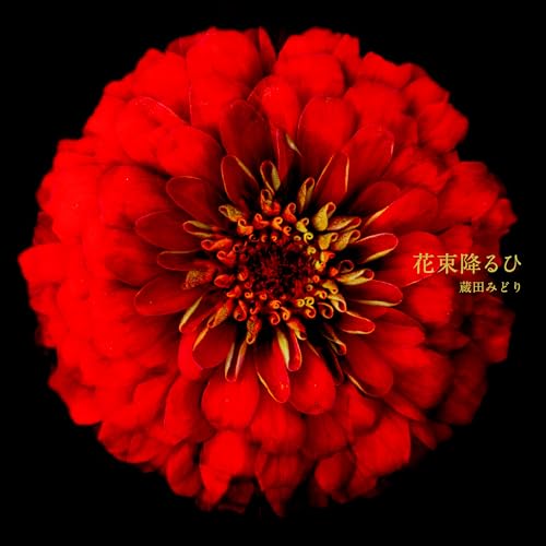 キラキラ白川(kirakirashirakawa)