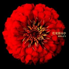 Amazon.co.jp: フュージョン - ジャズ・フュージョン: ミュージック