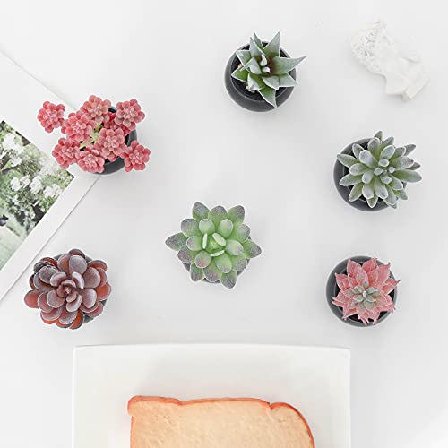 Nubry Mini Fake Plants In Ceramic Pots Artificial Small Succulents Potted Faux Assorted Lifelike Plants For Home Office Desk Decor, Set Of 6 (Black Ceramic Pots) #TOP4