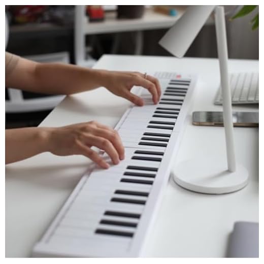 ZenithAur Teclado eléctrico ponderado, teclado de piano plegable de 61 teclas, teclado electrónico portátil para principiantes, con funcionalidad de grabación y reproducción