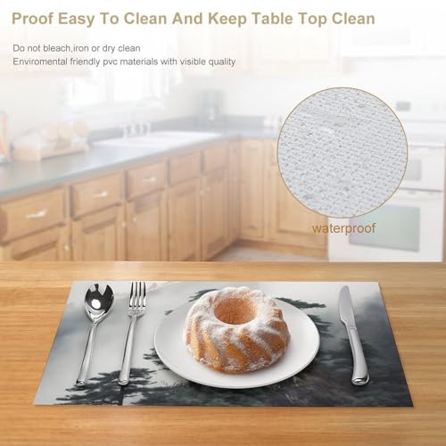 Set de table en PVC résistant à la chaleur lot de 4 lavable 30x45cm