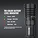 OLIGHT Warrior X 4 Rechargeable Tactical Flashlight 2,600 High Lumens with 630 Meters Long Range Thrower, Powerful Tail-Switch Light with USB-C Charging, Dual-Output for Daily (Black)