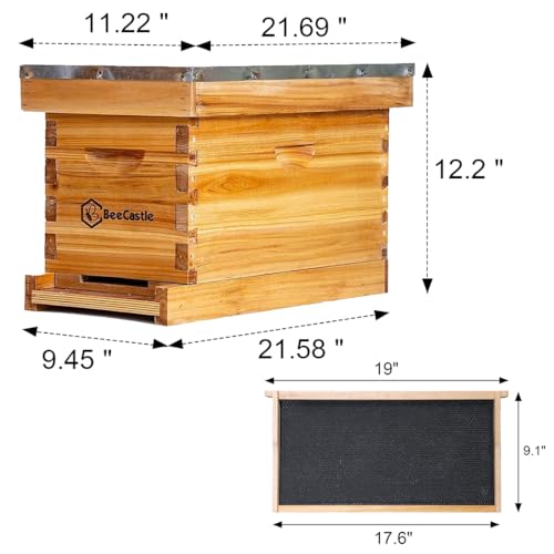 BeeCastle 5 Frame Bee Hive Nuc Box Coated with 100% Beeswax Includes Beehive Frames and Waxed Foundations by BeeCastle - Image 4