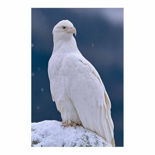Peinture sur toile aigles blancs pour une ambiance maison sereine