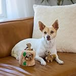 Outward Hound Hide-A-Squirrel Dog Toy – Interactive 2‑in‑1 Plush Puzzle with 3 Squeaky Removable Squirrels, Small - Image 6