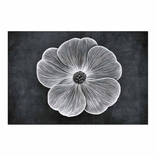 Tableau toile decoration murale fleur HOQIU solution salon moderne affiche noir et blanc 80x120