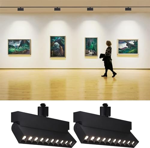 LEONLITE 24W Dimmable LED Track Lighting Heads, for H Type Track Rails, 100-277V, ETL Listed, CRI90, 1300LM, Flicker Free Ceiling Track Light Fixtures for Art, 4000K Cool White, Black, Pack of 2