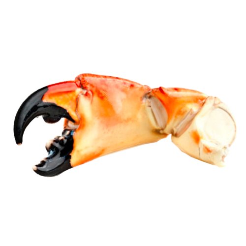 Fresh Colossal Stone Crab Claws