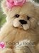 Teddy Bear Coloring Book for Kids: Children Activity Book for Boys and Girls Ages 2-6 with Super Teddy Bear A Super Cool Gift for Boys and Girls Ages 2-6 - Teddy Bear Coloring and Activity Book