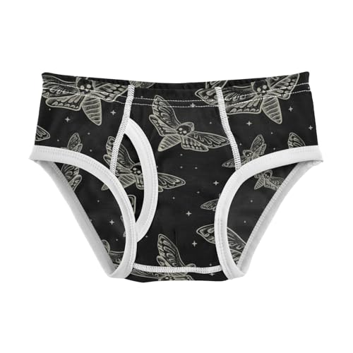 Boys' Exclusive Briefs Toddler Underwear 95% Combed Cotton Boxerbriefs 2T Moth Pattern 29