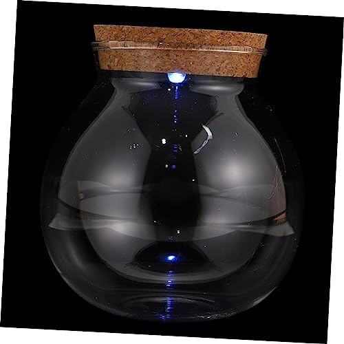 VANZACK カラフルなエコボトル led light ofc the bottle コケ のそみ テラリウムプランター スターボトル 苔の装飾 家の装飾 マイクロランドスケープコンテナ ガラス