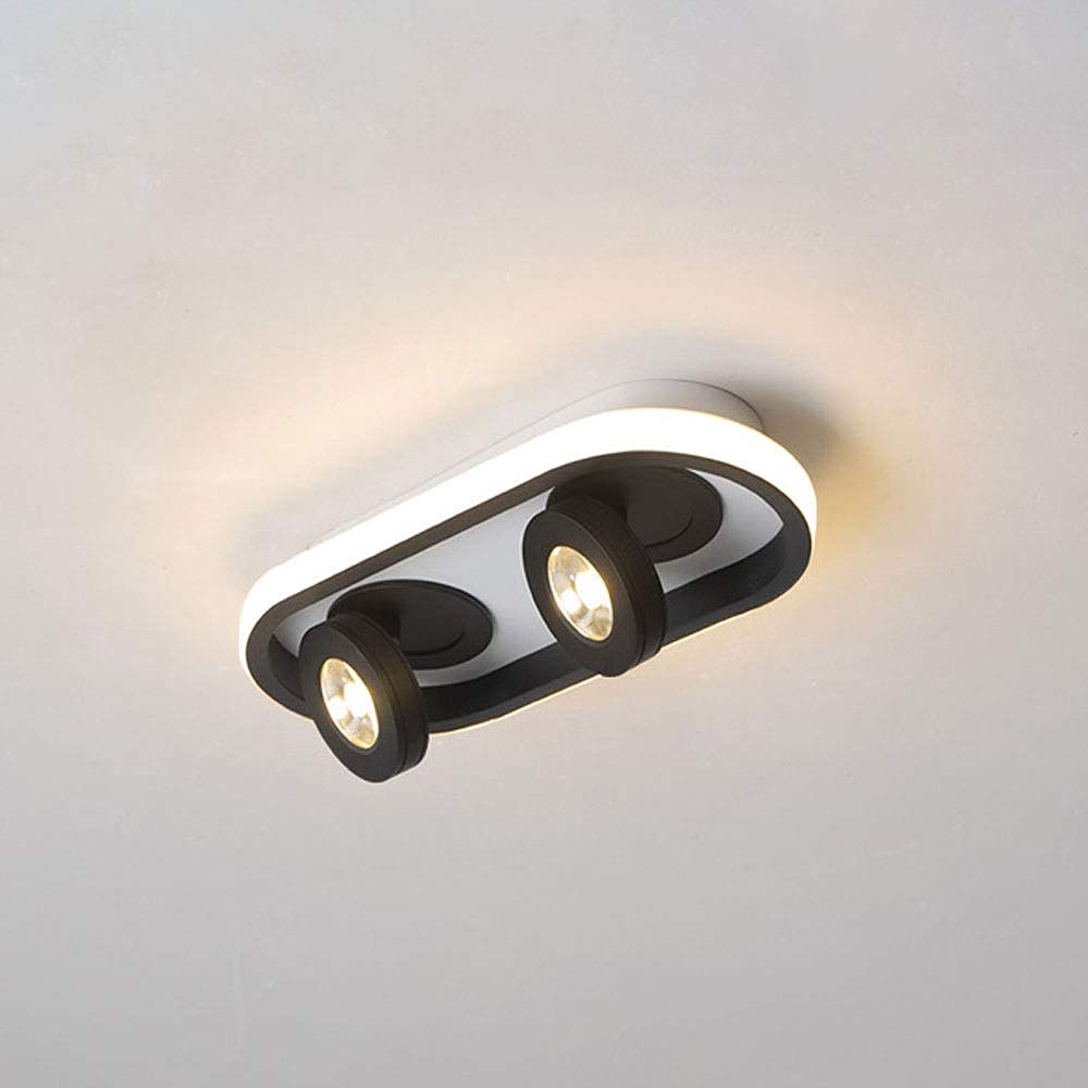 Projecteur de 20W LED orientable pour éliminer les zones d'ombre et éclairer les tableaux