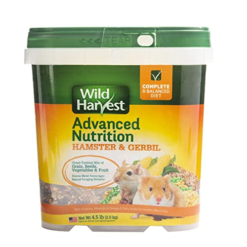 The Best Food For Gerbils Top 10 Picks By An Expert BNB