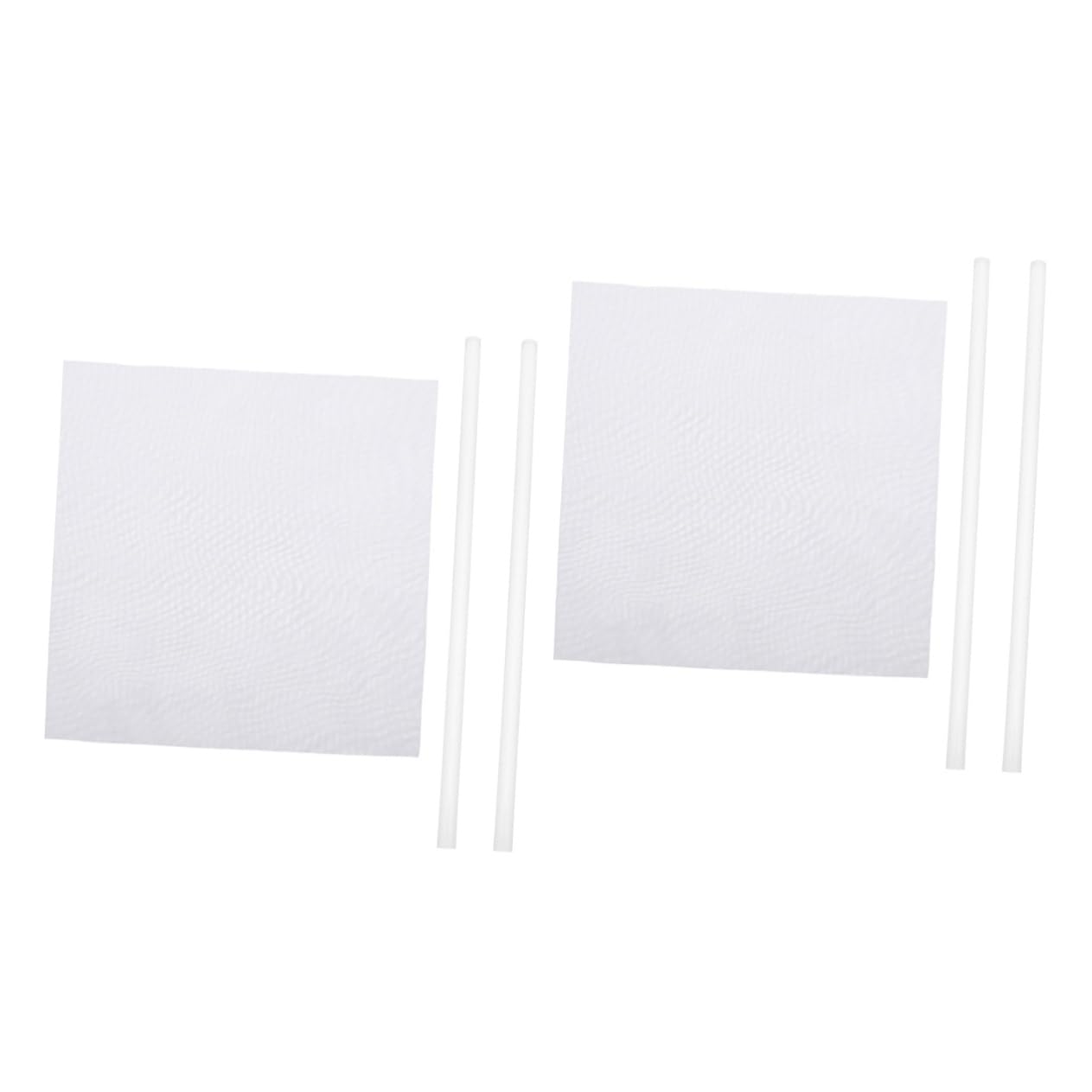 HOOTNEE 4 Packs Experimental Triboelectrification Science Experiment Supplies Static Experiment Supply Friction Electrification Experiment Equipment Physical Experiment Tool