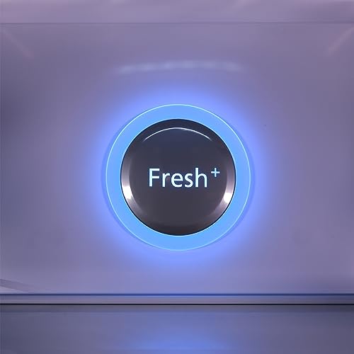 West Bend WB1800FDBMLSS Frost Free French Door Refrigerator thumb #9