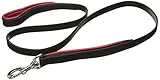 Perri's Padded Leather Dog Leash