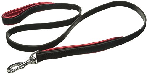 Perri's Padded Leather Dog Leash