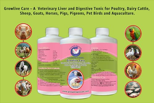 Growel Agrovet Growlive Care : Liver Tonic with Vitamins and Probiotics for Aqua, Poultry, Cattle, Horse, Pig, Goat, Sheep, Pigeon and Birds – 1000 ml.