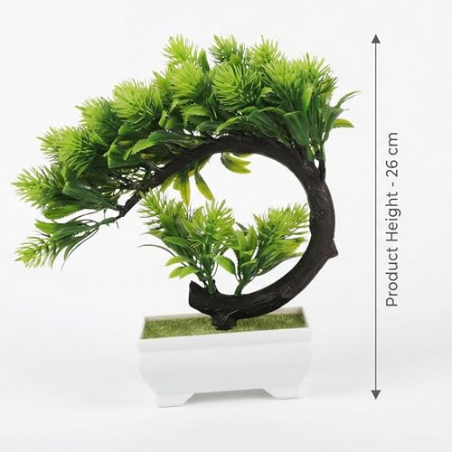 Image of Dekorly Artificial Fake Bonsai Potted Japanese Pine Bookshelf Decor, Artificial Bonsai Plant for Office Tabletop Decor | Indoor Cabinet Decoration | C Shape Plant (Green-2D, Height : Upto 22CM)