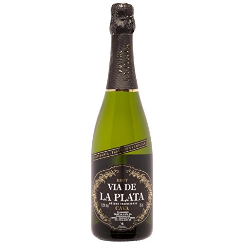 VIA DE LA PLATA cava brut botella 75 cl Cover